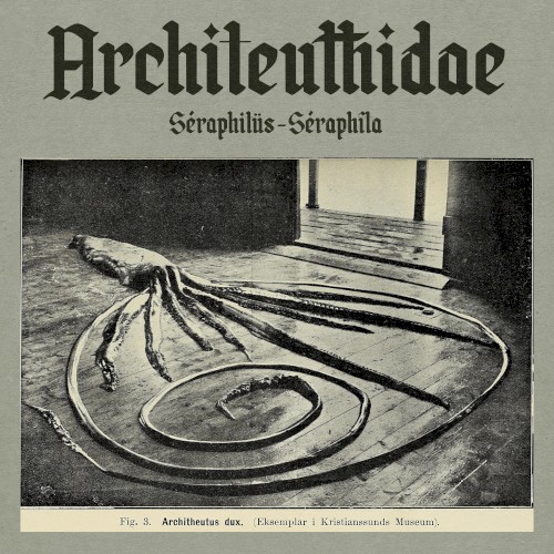 Architeuthidae