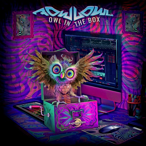 Owl in the Box