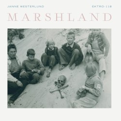 Marshland