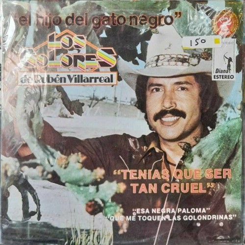 El hijo del gato negro