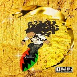 SURFINONGOLD.WAV