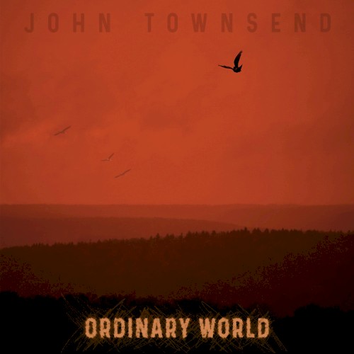 Ordinary World