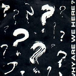 Why Are We Here?