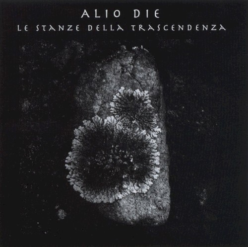 Le stanze della trascendenza