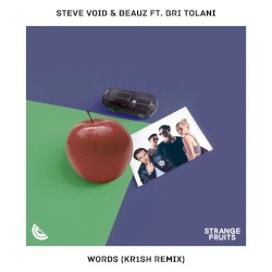 Words (kr1sh remix)