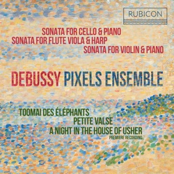 Sonatas & Piano Works