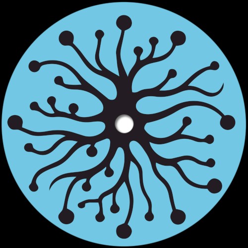 Sense Data