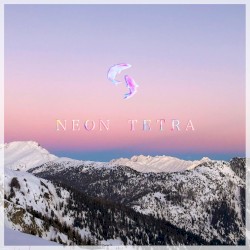 Neon Tetra