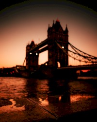 The Bridge