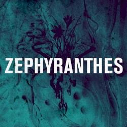 Zephyranthes