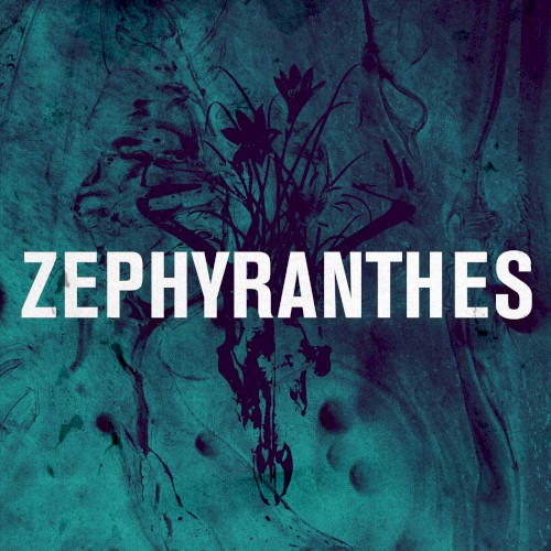 Zephyranthes