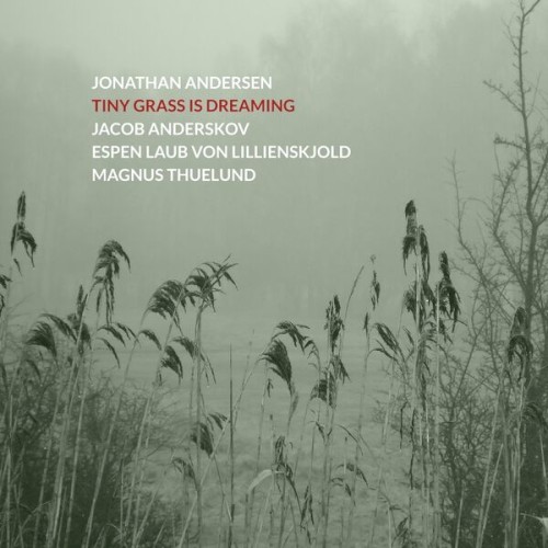 Tiny Grass Is Dreaming