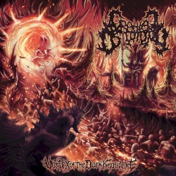 Vortex of the Dark Knowledge