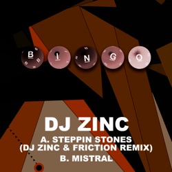 Steppin' Stones (DJ Zinc & DJ Friction remix) / Mistral