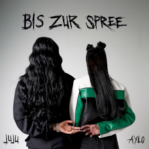 Bis zur Spree
