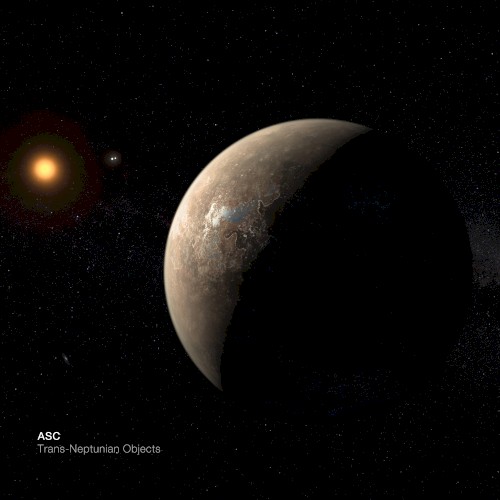 Trans‐Neptunian Objects
