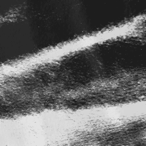 Digitized Serfs