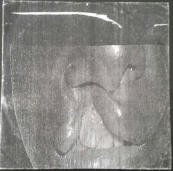 Swallowing Bile / Faggot Front Split
