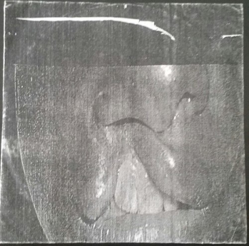 Swallowing Bile / Faggot Front Split