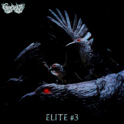 Crowsnest Elite #3