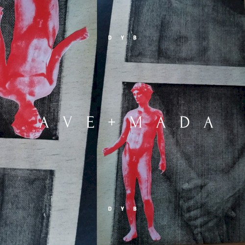 AVE+MADA