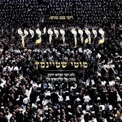 ניגון ויז’ניץ