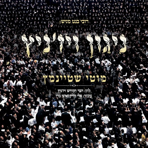 ניגון ויז’ניץ