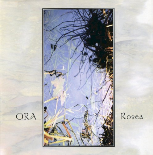 Rosea