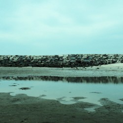 Log 22
