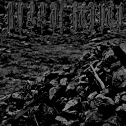 236: Pitiless Light Over the Stony Landscape