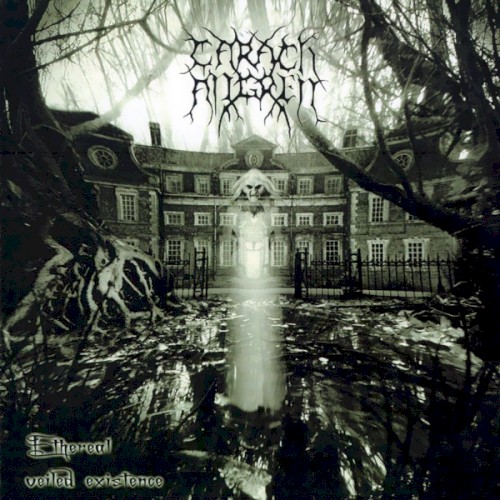 Ethereal Veiled Existence