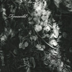 Fireswild