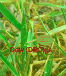 Dew (DRO)ps