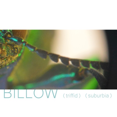 Triffid / Suburbia