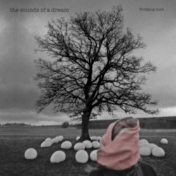 The Sounds of a Dream