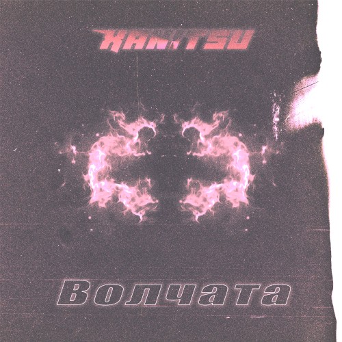 Волчата