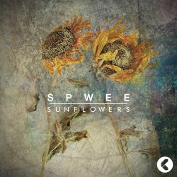 Confession / Sunflowers