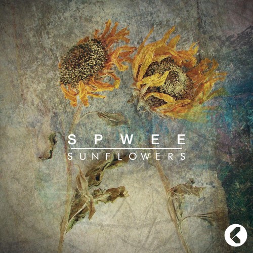 Confession / Sunflowers