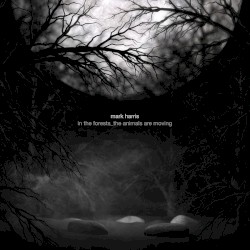 in the forests_the animals are moving