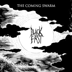 The Coming Swarm