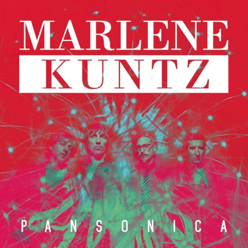 Pansonica