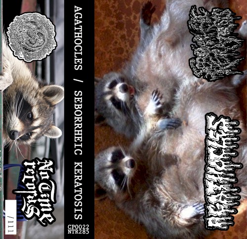 Agathocles / Seborrheic Keratosis Split