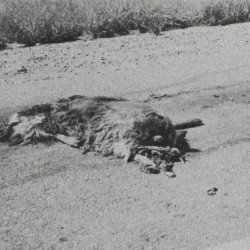 Remains to Be Seen