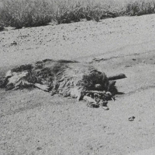 Remains to Be Seen