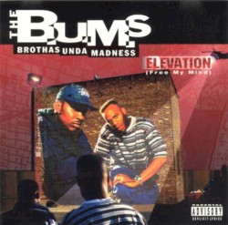 Elevation (Free My Mind)