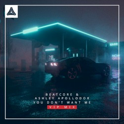 You Don't Want Me (VIP mix)