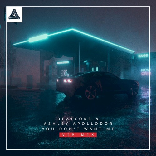 You Don't Want Me (VIP mix)