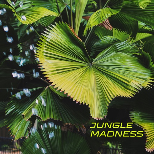 Jungle Madness