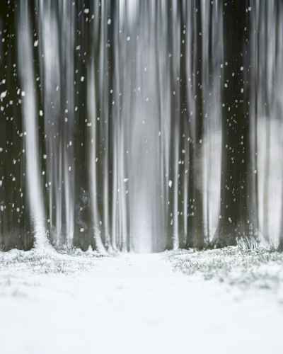 The Threatening Bliss of an Aloof Hibernal Spoof