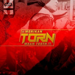 Torn (Remix)